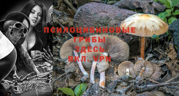 стафф Вязники