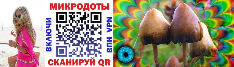 Псилоцибиновые грибы Cubensis Десногорск