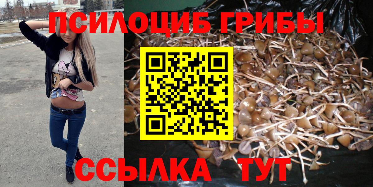 Псилоцибиновые грибы Magic Shrooms Десногорск